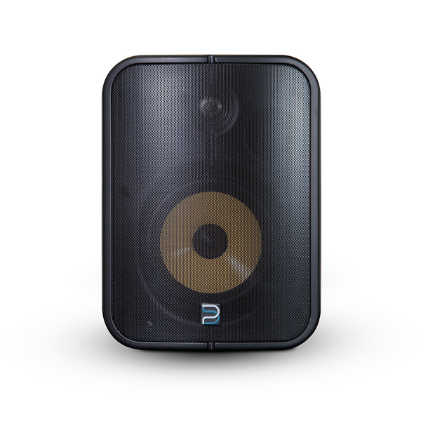 BS-BSP1000 POE NETWORK STREAMING SPEAKER - 6.5" (BLACK OR WHITE)