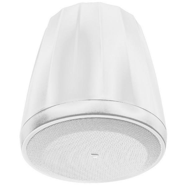 C67P/T-WH EXTENDED-BASS FULL-RANGE PENDANT SPEAKER WITH RBI.  6-1/2" (165 MM) LF & SILK DOME HF, RBI RADIATION