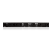 AP-S20 20A RACKMOUNT POWER CONDITIONER & DISTRIBUTION UNIT WITH 9 TOTAL OUTLETS - 1 FRONT, 8 REAR