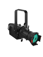 IP MULTI-COLOR LED ELLIPSOIDAL FIXTURE, BLACK